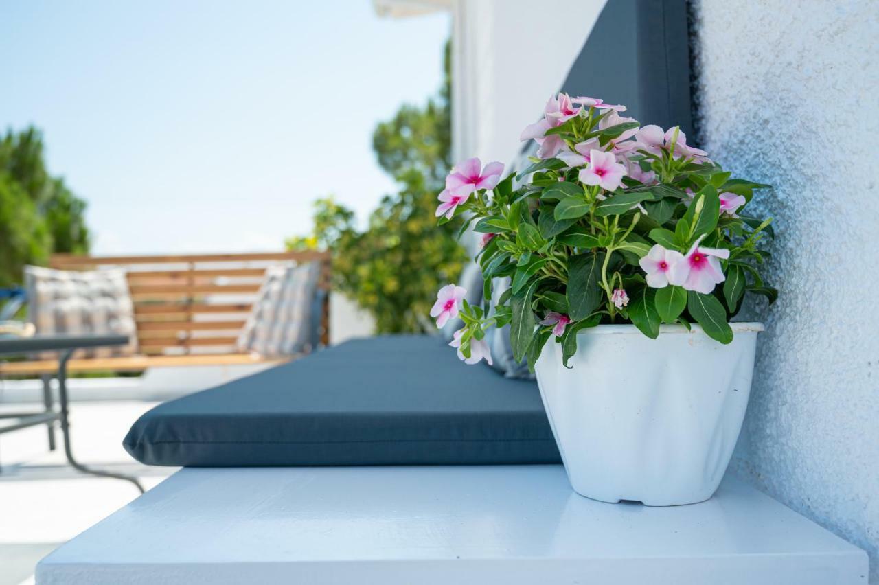 Sgs Luxury Apartments غزيلوكاسترون المظهر الخارجي الصورة